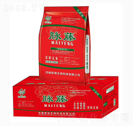 �����ЙC(j��)��-�}��-�ŵ�����