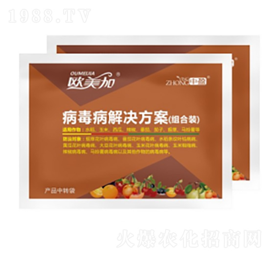 病毒病套餐方案 歐美加 中盈