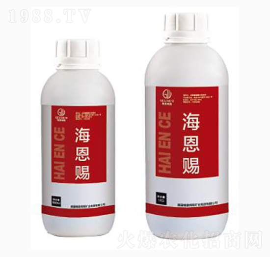 �����n-�|���r�I(y��)