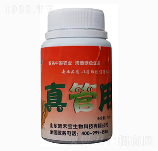 �����-ʩ�̌�