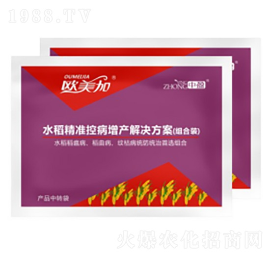 水稻控病增產(chǎn)方案 歐美加 中盈