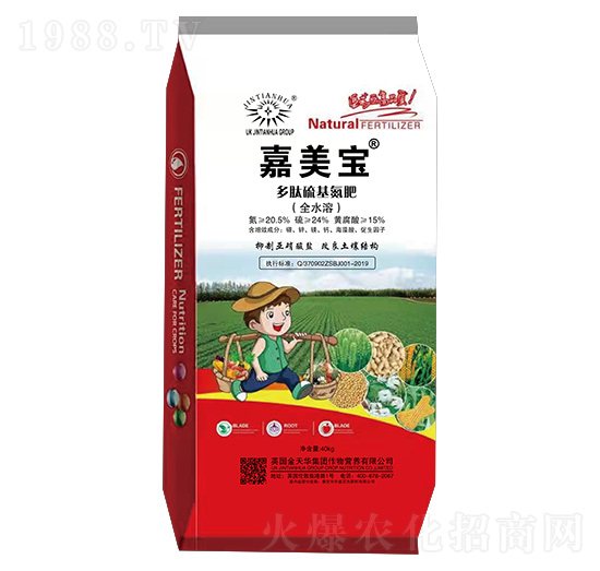 ����������� ������ ���컯