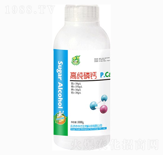 �߼����}-�A������