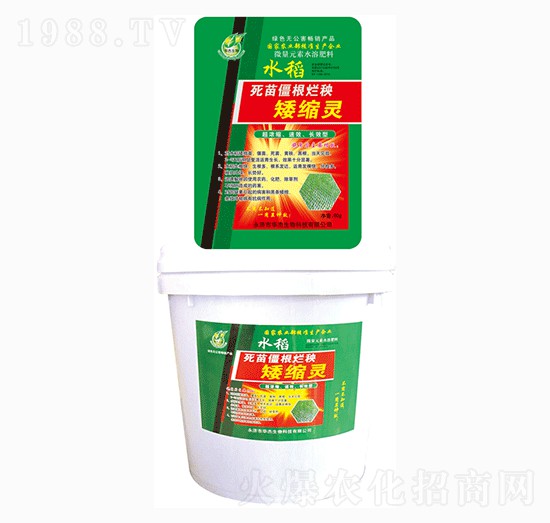 水稻死苗僵根爛秧矮縮靈-華杰生物