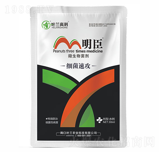 �����ٹ�-����-�~�m�߿�