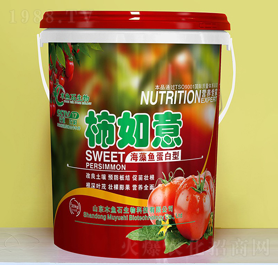 海藻魚蛋白型-柿如意-木魚石生物