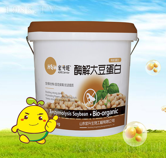 ø��󶹵���-��������