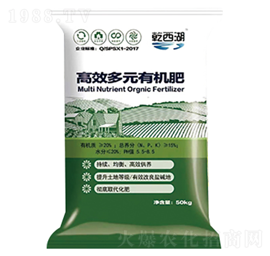 ��Ч��Ԫ�ЙC��-ʥ������