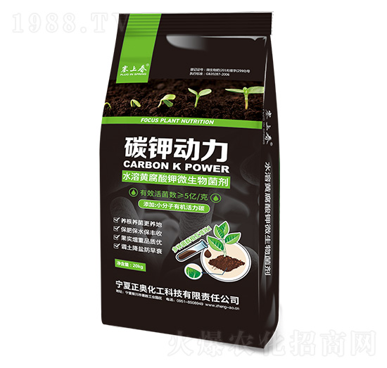 ̼⛄��� ���W����