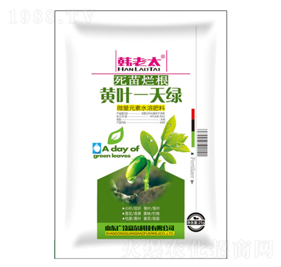 黃葉一天綠-韓老太-富爾科技