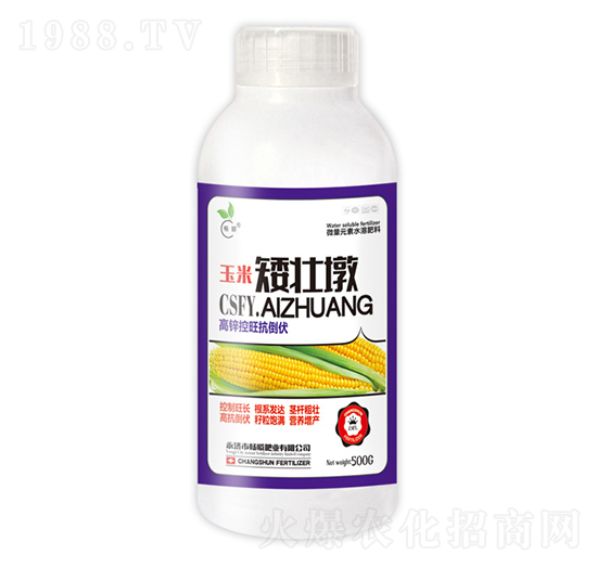 500g���װ��Ѷ�-��˲