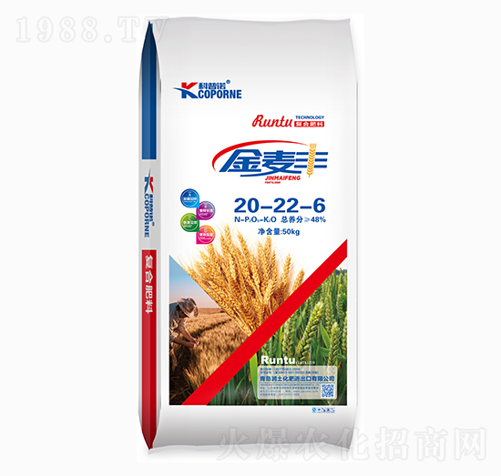 �ͺϷ���20-22-6-�����Z-����