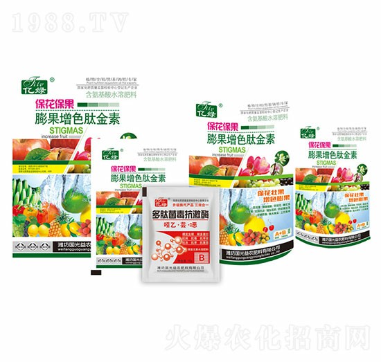 ����������L��ɫ��-�������r