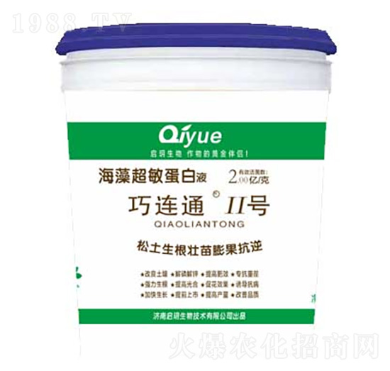 巧連通二號 巧特