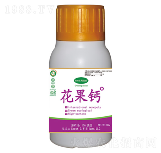 �M(j��n)�����ϑB(t��i)�̷��}-�����}-���A��