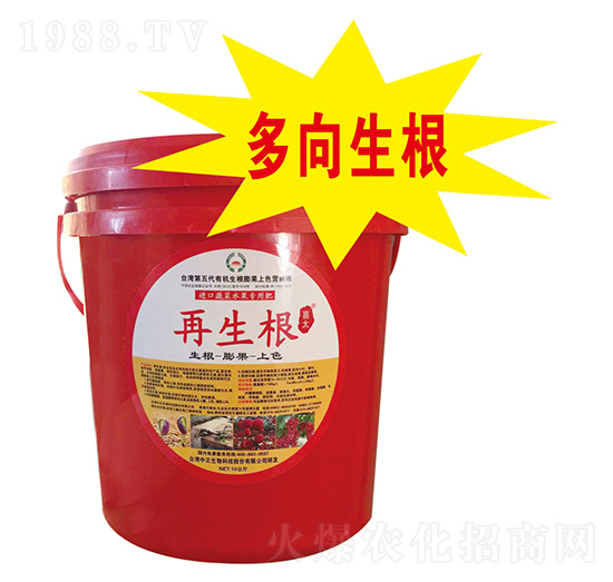 出口蔬菜水果專用肥-再生根-大華墾