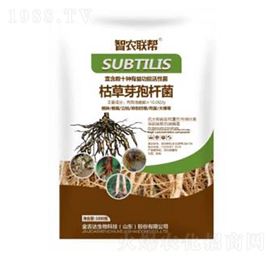 1000g�ݲ�ѿ�ߗU��-���_