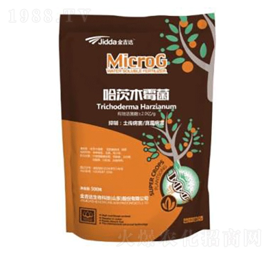 ����ľù��-���_(d��)