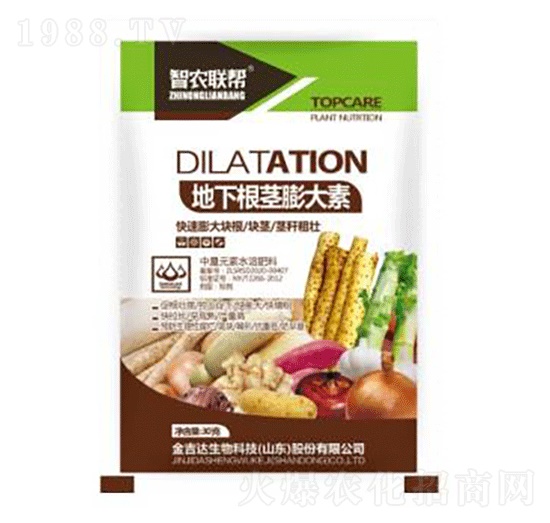 ���¸��o�����-���_(d��)