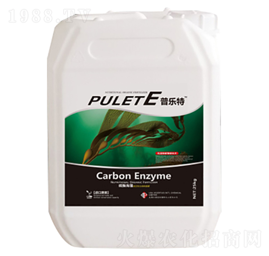 �՘���-�ն���