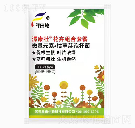 ���ܽM���ײ�-�𿵉�