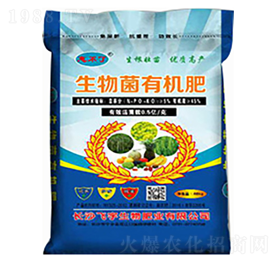 ������ЙC�ʣ��{��-�w������