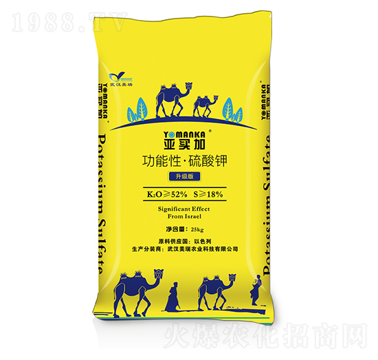 �����͡������-���I(m��i)��-�����r(n��ng)�I(y��)