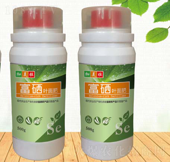 500g�����~���-������