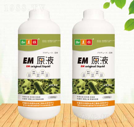 EMԭҺ-������