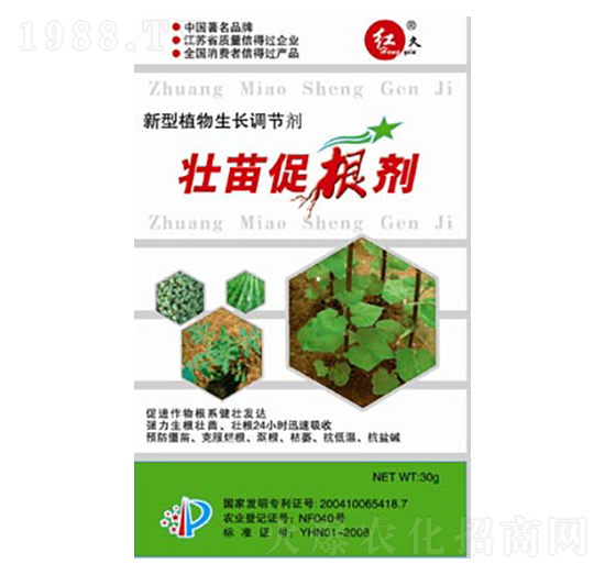 壯苗促根劑-匯豪農(nóng)化