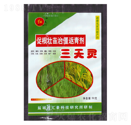 促根壯苗治僵返青劑-三天靈-匯豪農(nóng)化