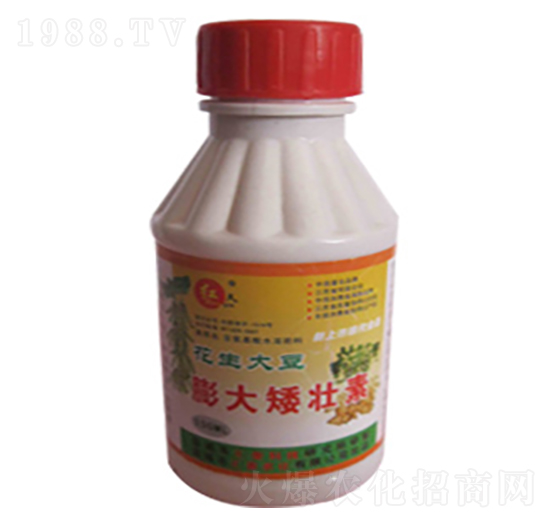 花生大豆膨大矮壯素-匯豪農(nóng)化