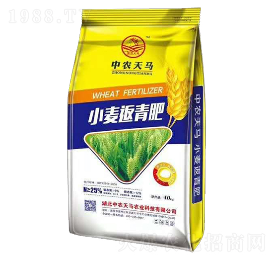 С�������-���r���R