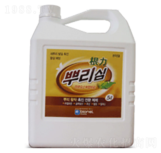 ����-��(y��u)��˼