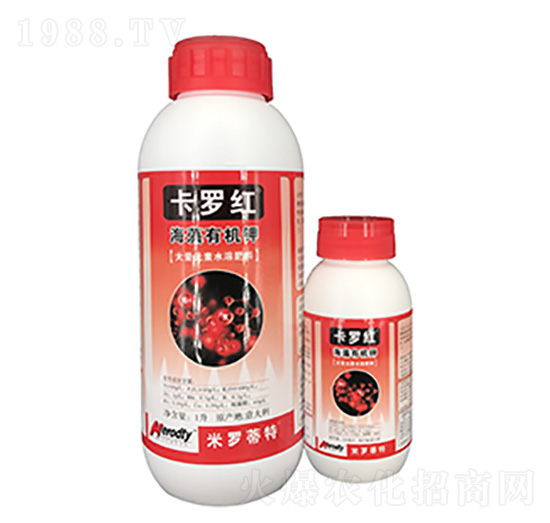 �����ЙC(j��)�-���_�t-��(y��u)��˼