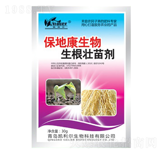 �������焩-���ؿ�-�P����