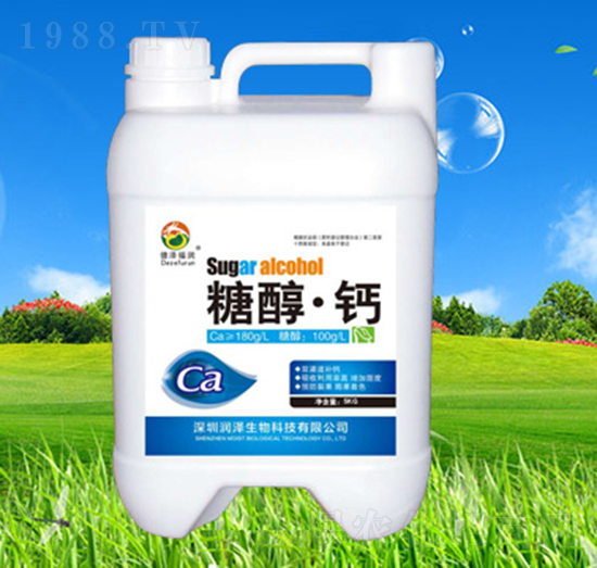 �Ǵ����}-��(r��n)������