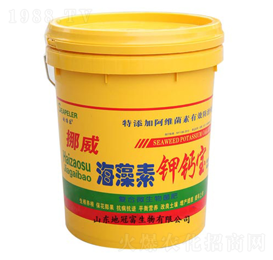 ��������}��-�عڸ�