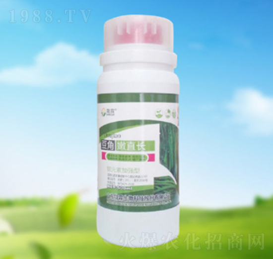 豆角嫩直長-晟霖生物