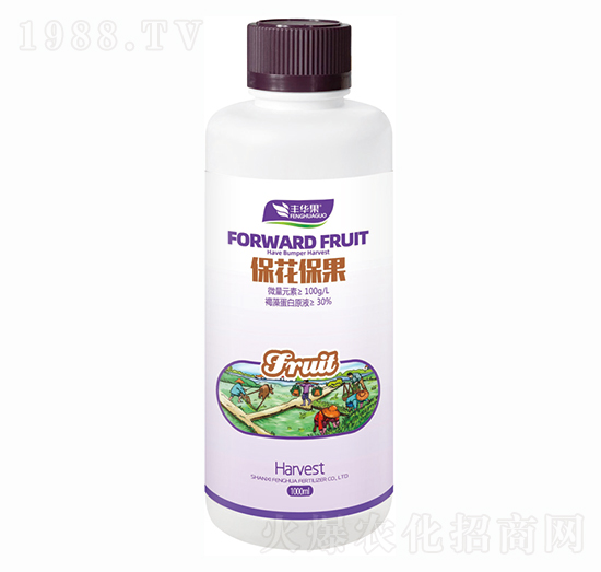 ����������-�S�A��-�S�A�ʘI(y��)