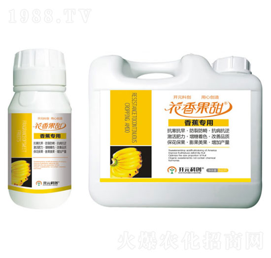 �㽶����-�������-����ֲ��