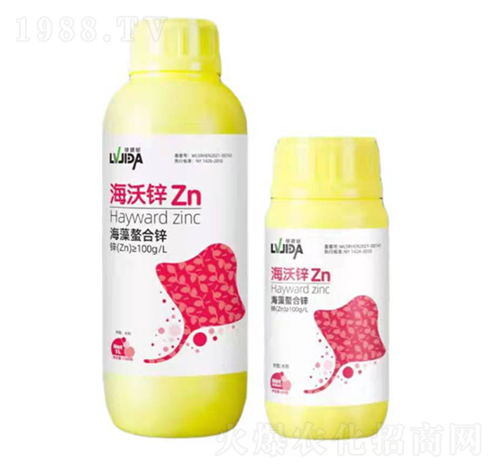 ���������\-�����\-������