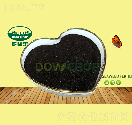 粉末狀海藻精-多谷樂