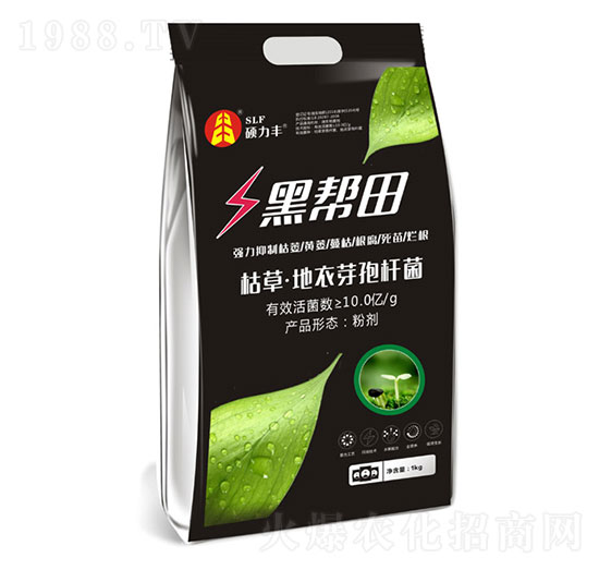 ΢�������-�ڎ���-�T���S����