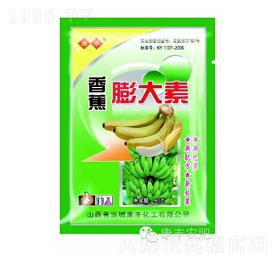 �㽶�����-���S�r��