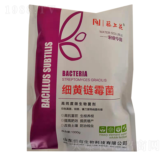 ���S�ù��-���ϻ�-��������