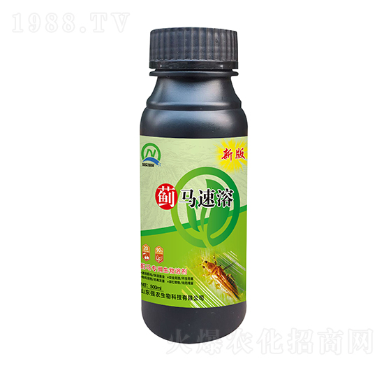 �E�R������������-�E�R����-��(qi��ng)�r(n��ng)����