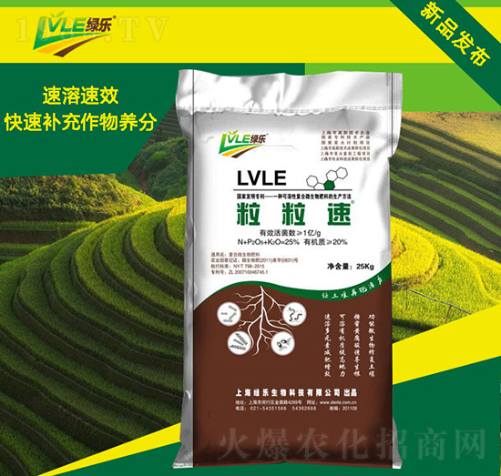 ������-�Ϡ���-�G������