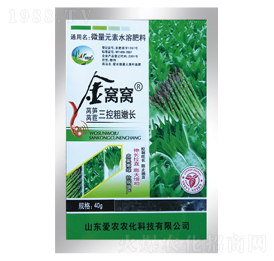 萵筍萵苣三控粗嫩長(zhǎng)-金窩窩-中根生物