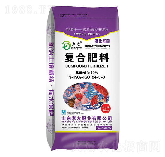 �ͺϷ���24-8-8-Т��